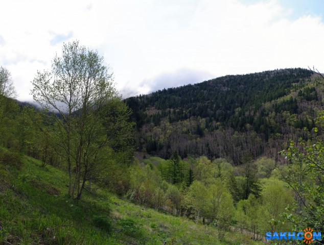 081-пан-22

Просмотров: 1148
Комментариев: 0