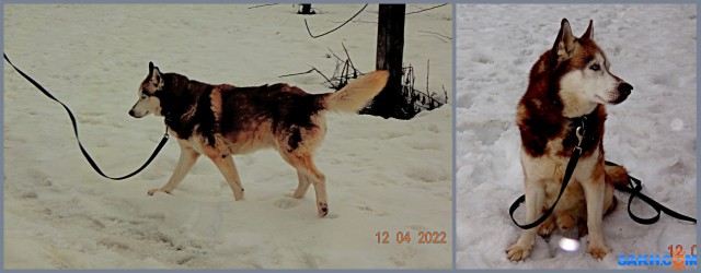 MyCollages

Просмотров: 583
Комментариев: 0