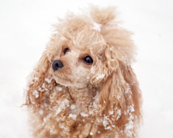 Мелька

Просмотров: 2647
Комментариев: 2