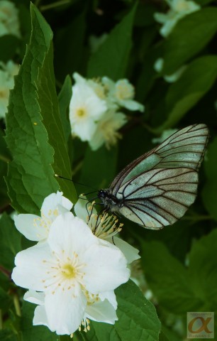 ***
Фотограф: Сергей Буркацкий

Просмотров: 780
Комментариев: 0