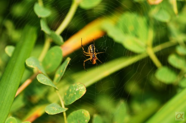 ***
Фотограф: Сергей Буркацкий

Просмотров: 825
Комментариев: 0