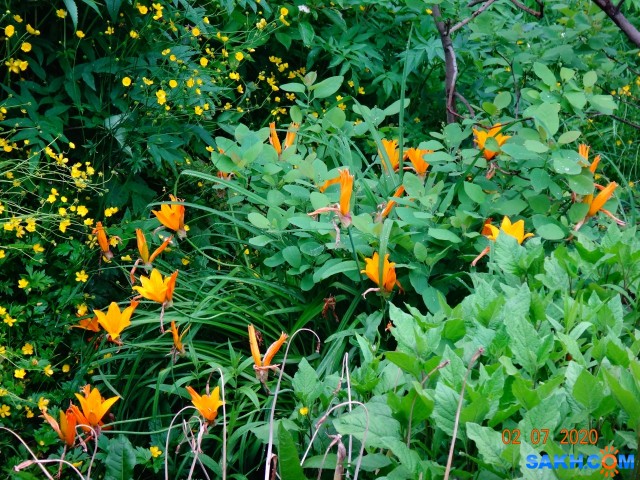 DSC02373

Просмотров: 442
Комментариев: 0