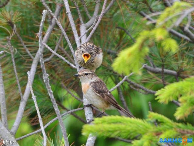 пора обедать опять

Просмотров: 549
Комментариев: 0