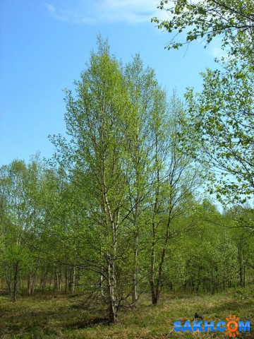 Dscn9693-к

Просмотров: 666
Комментариев: 0