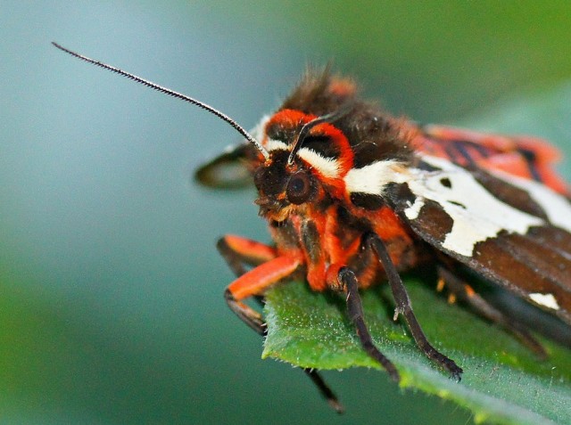 ***
Фотограф: Сергей Буркацкий

Просмотров: 890
Комментариев: 0