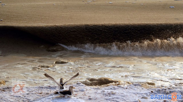 ***
Фотограф: Сергей Буркацкий

Просмотров: 2546
Комментариев: 0
