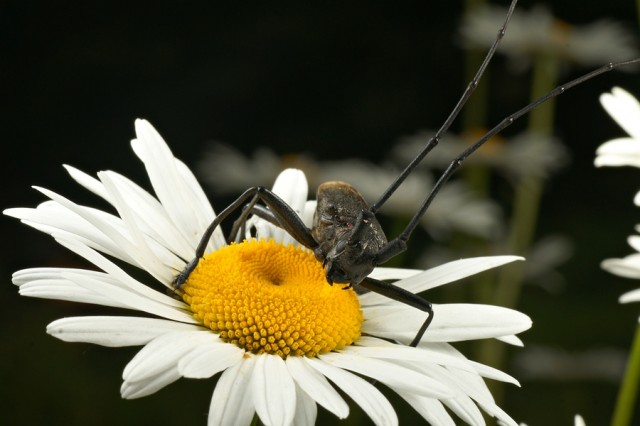 DSC01746
Фотограф: Сергей Буркацкий

Просмотров: 355
Комментариев: 0