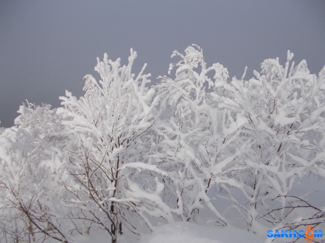DSCN0145