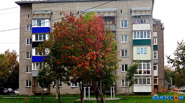 DSC05736

Просмотров: 419
Комментариев: 0