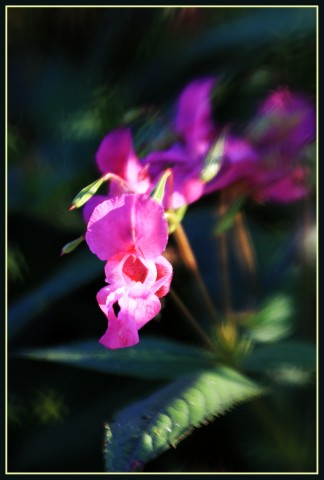 IMG_9947

Просмотров: 625
Комментариев: 0