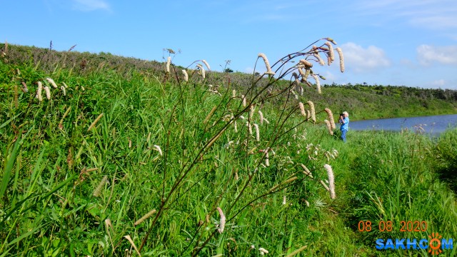 DSC04928