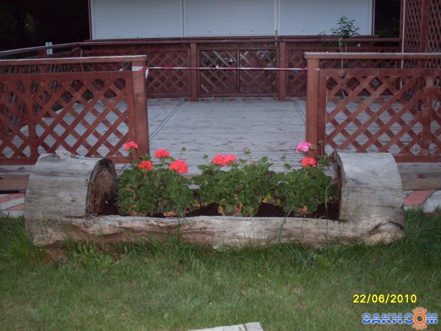 Оригинальное кашпо для герани
Фотограф: Maricha

Просмотров: 8151
Комментариев: 0