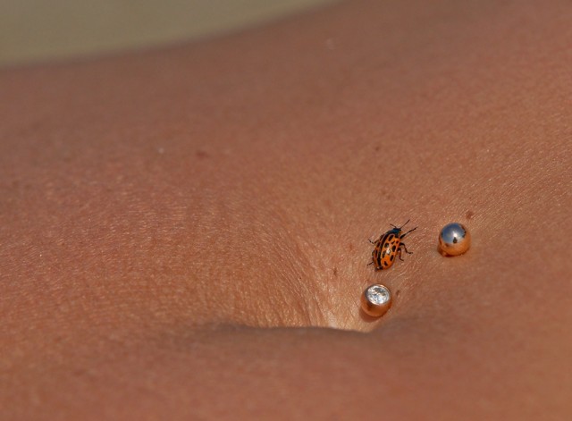 ***
Фотограф: Сергей Буркацкий

Просмотров: 1291
Комментариев: 2