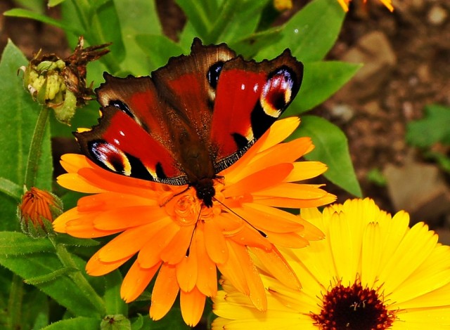 ***
Фотограф: Сергей Буркацкий

Просмотров: 537
Комментариев: 0