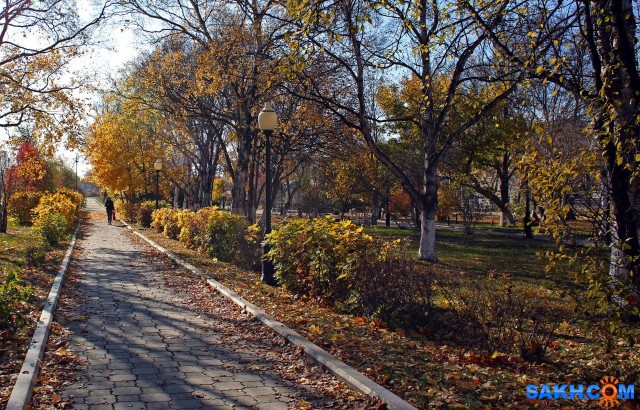 039-к

Просмотров: 540
Комментариев: 0
