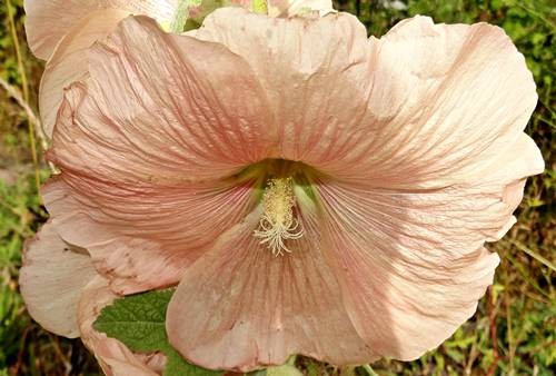 DSC04144
Фотограф: Сергей Буркацкий

Просмотров: 430
Комментариев: 0