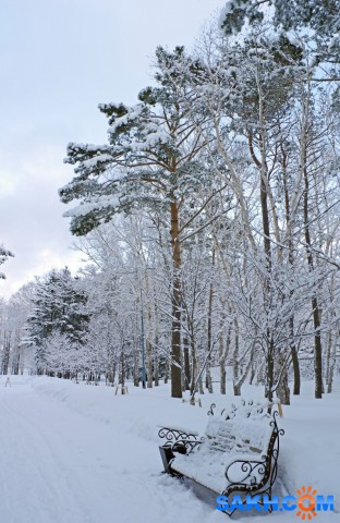007-к

Просмотров: 715
Комментариев: 0