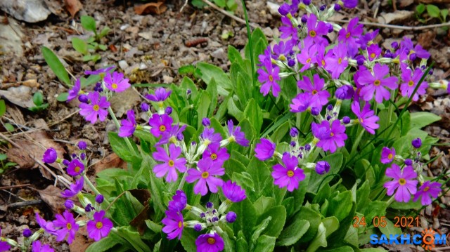 DSC02558

Просмотров: 336
Комментариев: 0