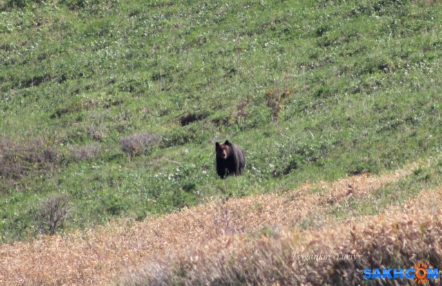 A9309605-D478-46DD-B8A8-F3FBAC25511A
Фотограф: Tsygankov Yuriy

Просмотров: 1800
Комментариев: 0