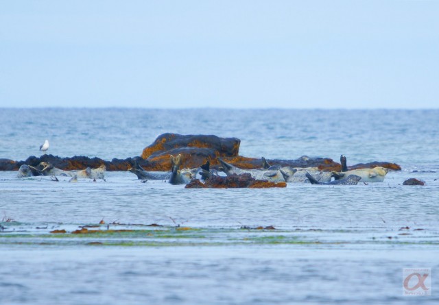 ***
Фотограф: Сергей Буркацкий

Просмотров: 1122
Комментариев: 0