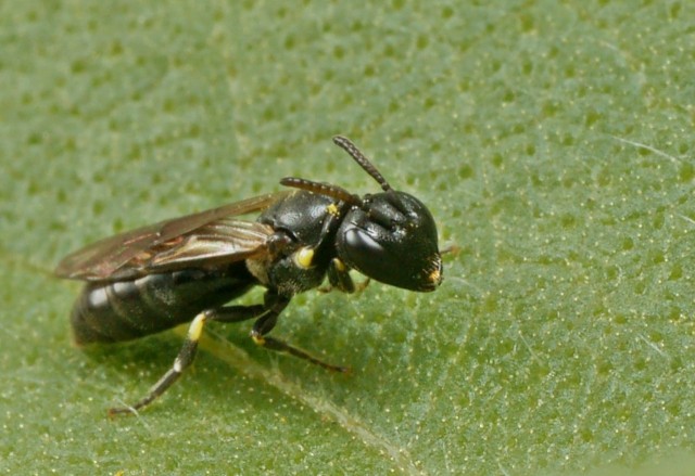 DSC01135
Фотограф: Сергей Буркацкий

Просмотров: 437
Комментариев: 0