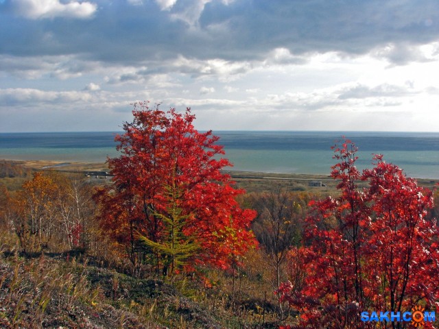 IMG_0047 -к

Просмотров: 614
Комментариев: 0