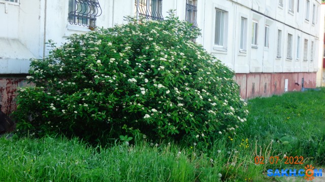 DSC00272

Просмотров: 543
Комментариев: 0