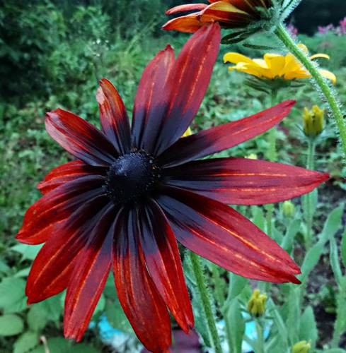 DSC00849
Фотограф: Сергей Буркацкий

Просмотров: 443
Комментариев: 0