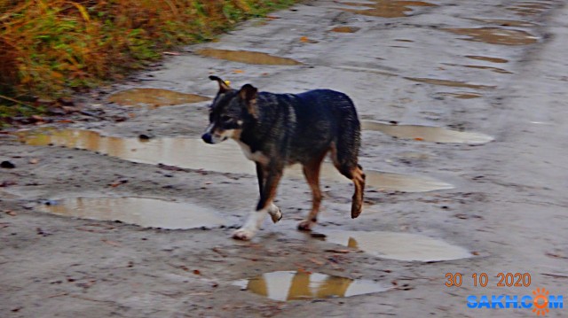 DSC08799