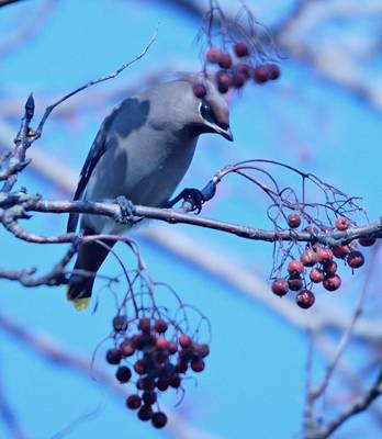 Фото 1010
Фотограф: Сергей Буркацкий

Просмотров: 483
Комментариев: 0