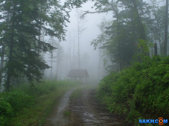 005-к

Просмотров: 755
Комментариев: 0