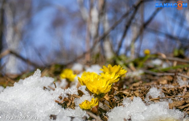 адонис
Фотограф: Tsygankov Yuriy

Просмотров: 1029
Комментариев: 1