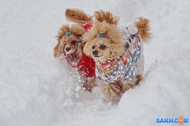 На прогулке

Просмотров: 873
Комментариев: 0