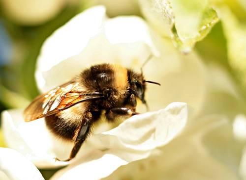 DSC05315
Фотограф: Сергей Буркацкий

Просмотров: 434
Комментариев: 0