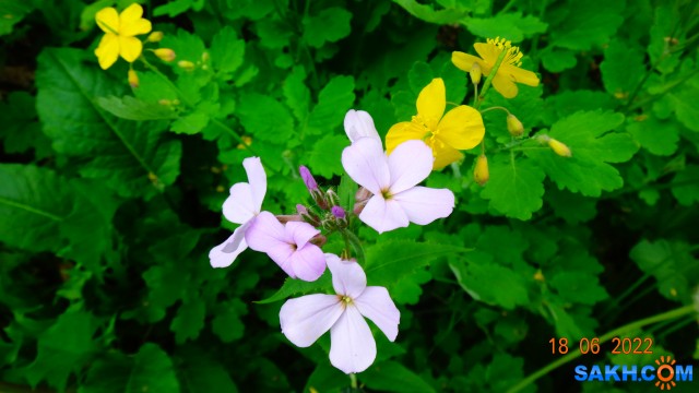 DSC09785

Просмотров: 334
Комментариев: 0