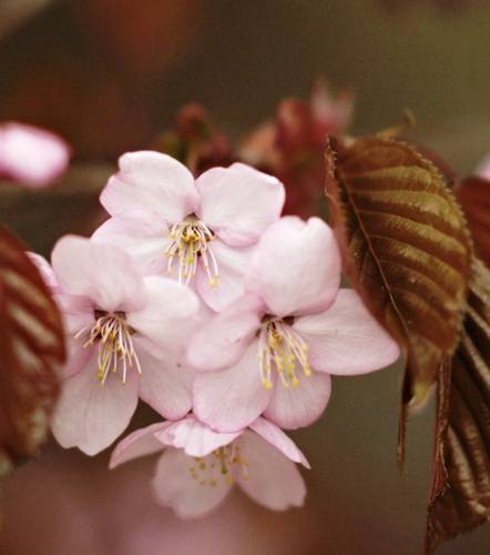 DSC04856
Фотограф: Сергей Буркацкий

Просмотров: 488
Комментариев: 0