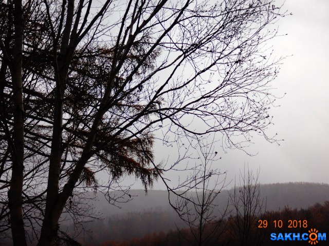 Туман...

Просмотров: 910
Комментариев: 0