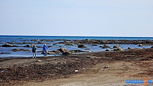 DSC06333