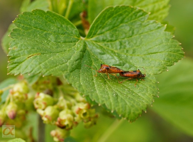***
Фотограф: Сергей Буркацкий

Просмотров: 882
Комментариев: 0