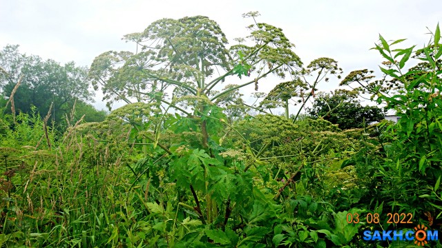 DSC01502