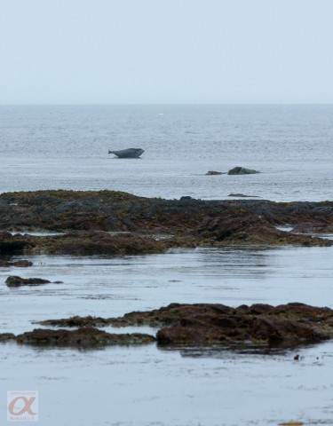 ***
Фотограф: Сергей Буркацкий

Просмотров: 1554
Комментариев: 0