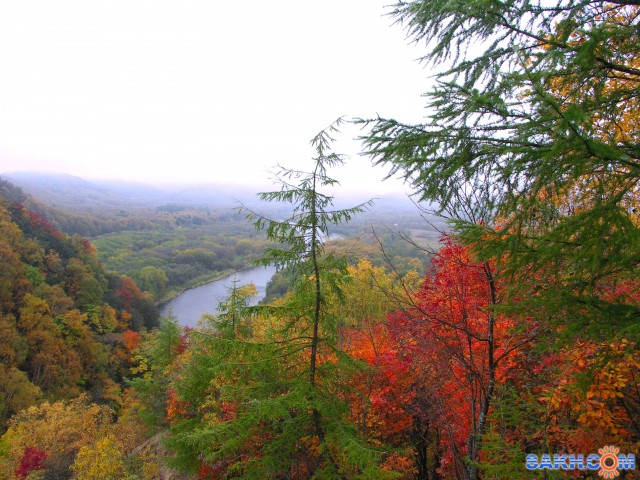 PICT0177_small

Просмотров: 4335
Комментариев: 0