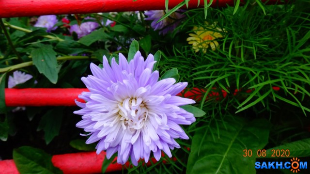 DSC06478

Просмотров: 606
Комментариев: 0