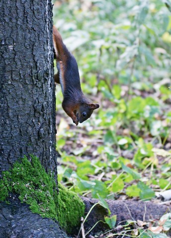 ***
Фотограф: Сергей Буркацкий

Просмотров: 1284
Комментариев: 0