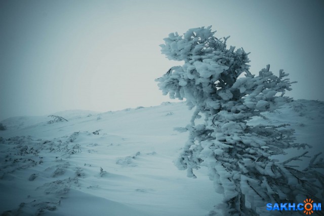 Стихия
Фотограф: uver

Просмотров: 1448
Комментариев: 0