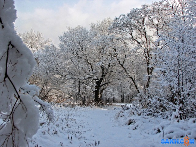 IMG_4839-к

Просмотров: 743
Комментариев: 0