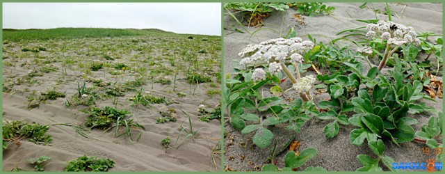 MyCollages (3)

Просмотров: 622
Комментариев: 0