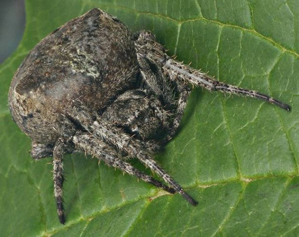 Фото 833
Фотограф: Сергей Буркацкий

Просмотров: 438
Комментариев: 0