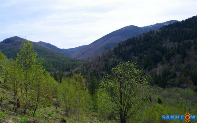 071 -21

Просмотров: 756
Комментариев: 0