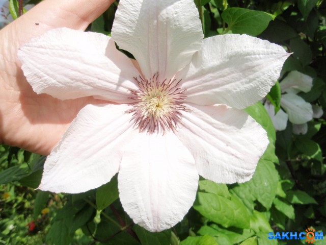 P8100014

Просмотров: 770
Комментариев: 0